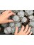 Echeveria Morning Beauty – Sabah Güzeli Sukulent 20 Adet 3