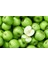 Granny Smith Elma Fidanı 3 Adet 4