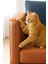 Kedi Koltuk Tırmalama Koruyucu Şeffaf Yapışkanlı Mobilya Tırmalama Önleyici Koruma Bandı 20X50 cm 3