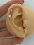 Sallanan Ayıcık Tragus Helix Lobe Uyumlu 1 Adet Piercing 2