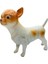 Köpekler - Chihuahua / Şivava Cinsi Köpek 1