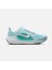 Air Zoom Pegasus 41 Road Running Kadın Spor Ayakkabı Fd2723-401 1