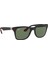 Rayban RB4195-M C.F602/71 52-20 Güneş Gözlüğü 3