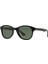 Rayban RB4203 C.601 51-20 Güneş Gözlüğü 2