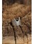 Otantik Kedi Tasarımlı Ayarlamalı Kadın Yüzük 1