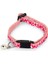 Yavru Kedi Boyun Tasması, Zilli, Pembe, 16-23CM Bstmy 1