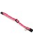 Yavru Kedi Boyun Tasması, Zilli, Pembe, 16-23CM Bstmy 3