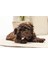 Yavru Köpek Diş Oyuncağı, Içi Dolu Halka, Kauçuk, Pembe, 10CM Svlrs 3