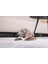 Yavru Köpek Diş Oyuncağı, Içi Dolu Halka, Kauçuk, Yeşil, 10CM Svlrs 3