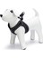 Köpek Göğüs Tasması, Neopren, Siyah, M, 41-46cm 1