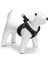 Köpek Göğüs Tasması, Neopren, Siyah, M, 41-46cm 2