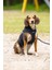Köpek Göğüs Tasması, Neopren, Siyah, M, 41-46cm 4