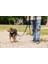 Köpek Göğüs Tasması, Neopren, Siyah, M, 41-46cm 5