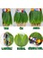 Tropikal Esintili Hawaii Yapraklı Parti Eteği Yetişkin Boy 4