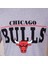 Erkek Kısa Kollu Chicago Bulls Baskılı Tişört 2
