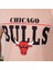 Erkek Kısa Kollu Chicago Bulls Baskılı Tişört 2