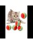 Sünger Kedi Köpek Çiğneme ve Oyun Topu 4 Adet 1