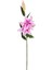 Herdekora Yapay Çiçek Lilyum Pembe 90 cm . 1