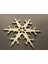 Snow Flake _ 6 Şube 2