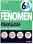 6. Sınıf Paragraf Soru Bankası (A) 2