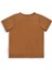 Dinozor Erkek Bebek T-Shirt Kaşkorse Şort Takım 5