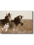 Zebra Ikilisi - Sepia Tonlarında Afrika Safarisi Kanvas Tablo 2