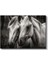 Beyaz Atlar - Siyah Beyaz Dünyada Iki Dost Kanvas Tablo 2