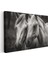 Beyaz Atlar - Siyah Beyaz Dünyada Iki Dost Kanvas Tablo 3