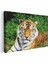 Bengal Kaplanı - Yeşil Otlakta Dinlenen Yırtıcı Kanvas Tablo 3