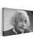 Albert Einstein - Bilim Dünyasının Gülen Yüzü Kanvas Tablo 3