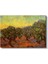 Vincent Van Gogh - Zeytin Ağaçları Kanvas Tablo 2