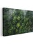 Yağmur Ormanı - Yeşilin Binbir Tonu Kanvas Tablo 3
