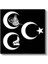 Osmanlı Sembolleri - Hilal ve Tuğra Kompozisyonu Kanvas Tablo 2