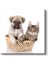 Sepetteki Dostlar - Yavru Köpek ve Kedi İkilisi Kanvas Tablo 2