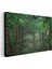 Sis Ormanı - Yeşil Yapraklar Arasında Işık Huzmeleri Kanvas Tablo 3