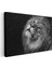 Asil Aslan - Yukarı Bakan Siyah Beyaz Portre Kanvas Tablo 3