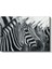 Zebra Deseni - Çizgilerin Mükemmel Uyumu Kanvas Tablo 2
