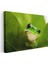 Yaprak Kurbağası - Yeşil Yaprakta Sakin Bekleyiş Kanvas Tablo 3