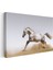 Beyaz At - Kumda Dans Eden Asil Ruh Kanvas Tablo 3