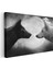Karşılaşma - Ay Işığında Siyah ve Beyaz Kurt Portresi Kanvas Tablo 3