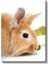 Sevimli Tavşan - Yumuşak Tüylü Minik Dost Kanvas Tablo 2