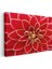 Kırmızı Yıldız Çiçeği - Geometrik Detaylı Makro Çekim Kanvas Tablo 3