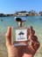 Fragrances West Coast(Tom Ford-Costa Azzurra) Ardıç, Sedir, Limon Temalı Fresh Erkek Kokusu 3