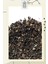Premium Oolong Vanilla Tea 50 gr – Saf Vanilya Aromalı Oolong Çayı 2