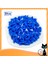 100PCS / Lot Kedi Tırnak Kapssoft Tırnak Koruyucusu Yumuşak Kedi Pawcontrol Evcil Hayvanlar Silikon Tırnak Kapakları Ücretsiz 5ADEZIF Tutkal + 5APPLICATORCOLOR: Siyah / Boyut: Xs (Yurt Dışından) 1