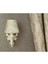 Krem desenli tekli aplik, modern ve şık dekoratif aydınlatma, metal malzeme, E14 duy 2