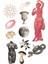 Sulu Boya Vintage - Retro Serisi 6 Sayfa Sticker 3