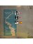 John Mclaughlin - Al Di Meola - Paco De Lucía – Passion, Grace & Fire 1983 Baskı Lp 2