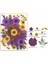 Dıy Reçine Kalıp Için Kurutulmuş Çiçek Dolgular Gerçek Doğal Preslenmiş Çiçek Yaprakları Scrapbooking Diy Sanat El Sanatları Tırnak Sanat Dekorcolor: Çok Renkli (Yurt Dışından) 1