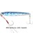 Jigpara Micro Slim Jpmsl-7gr 50mm #15 Keimura (Uv) Iwashi 1